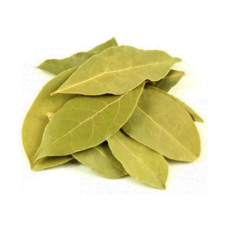 Bay Leaf