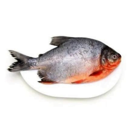 FreshWater PromFret