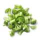 Broccoli Cut(300gms)