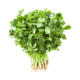 Coriander Leaf (1 kattu)