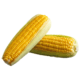 Sweet Corn (3pcs)